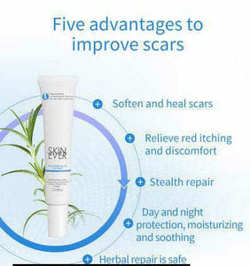 Skin Ever Scar Removal Gel 30G